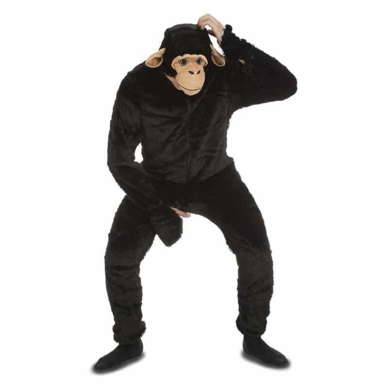 Fato Macaco Chimpanzé Adulto