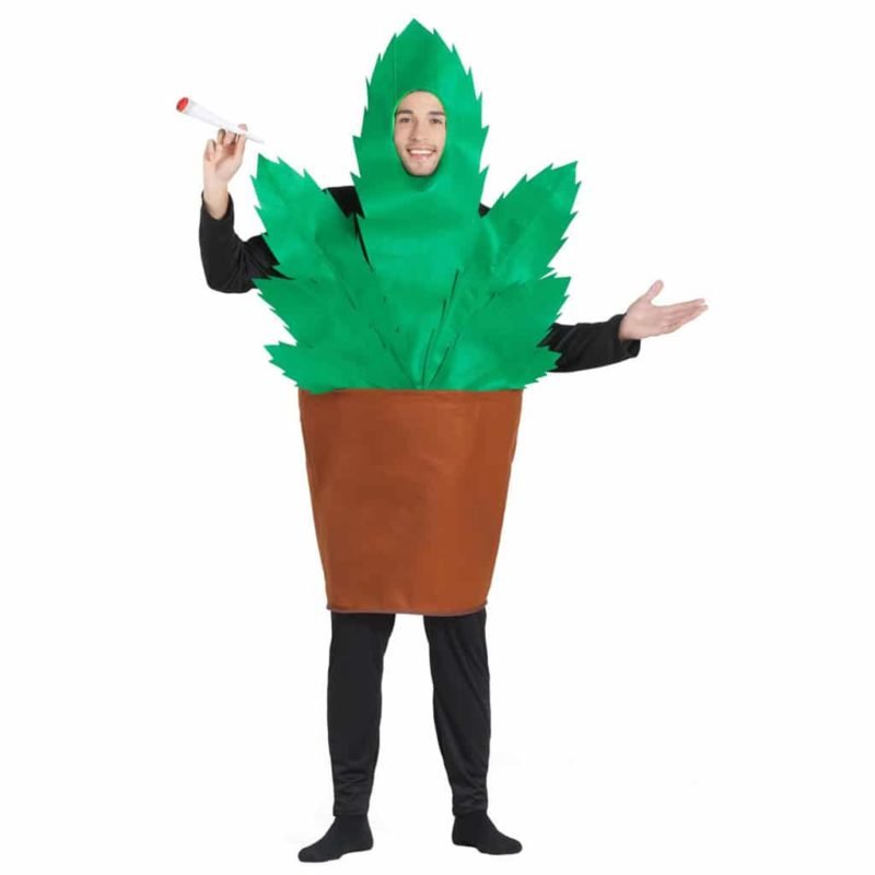Fato de Vaso com Planta Marijuana